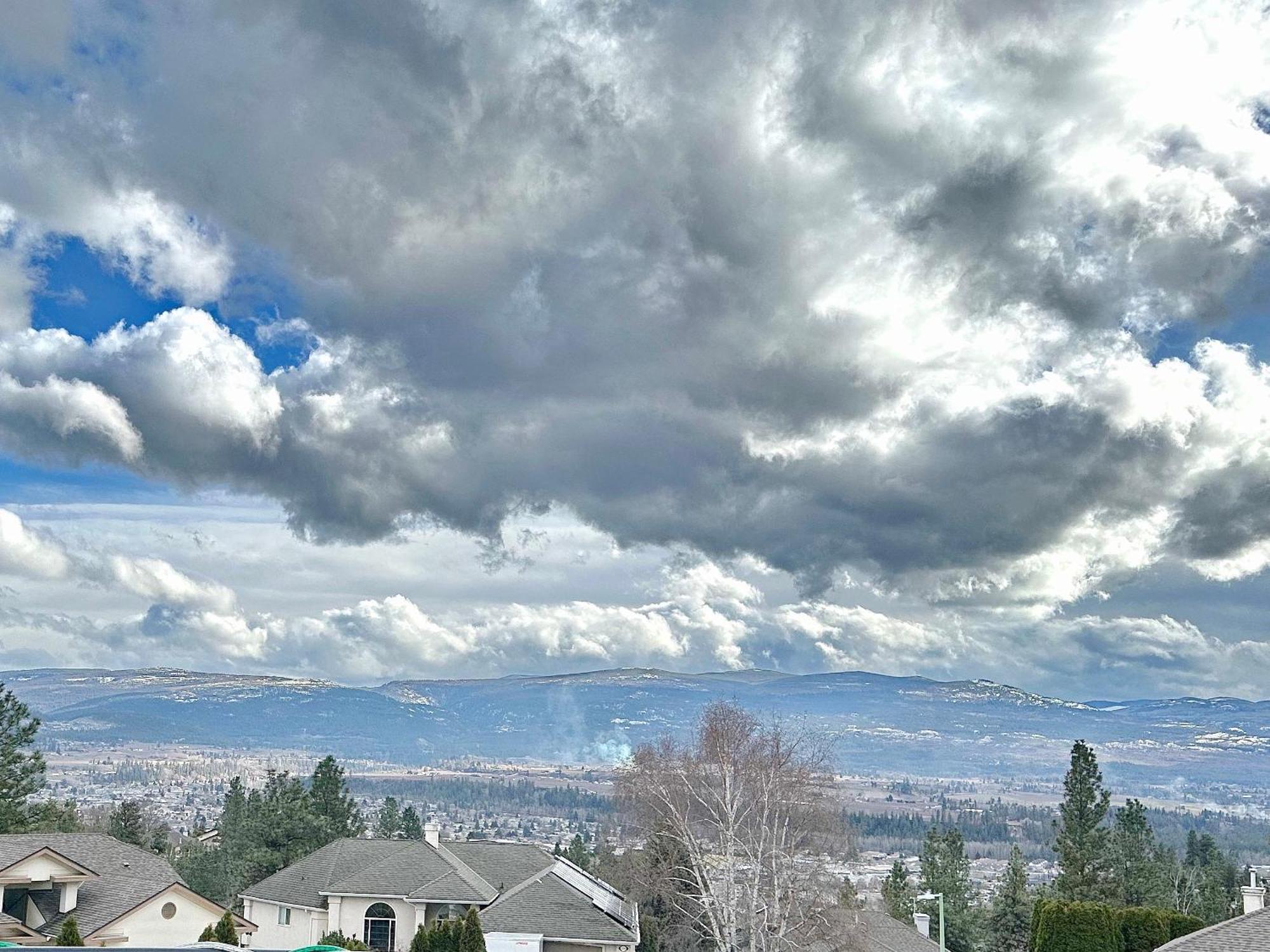 Under The Tree - Bed & Breakfast Kelowna Luaran gambar